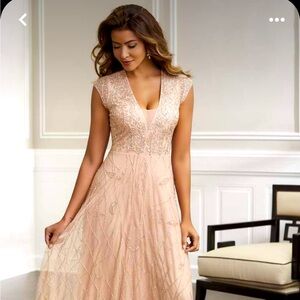 Christina Wu Elegance mother of the bride blush gown. (Pre owned)